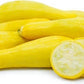 Organic Heirloom Early Summer Crookneck Squash Seeds