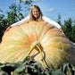 Organic Dill's Atlantic GIANT Pumpkin seeds pack