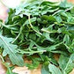 Heirloom Organic Rocket (Roquette) Select Arugula Seeds