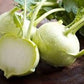 Heirloom Organic Kohlrabi Early White Vienna Seeds