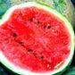 Heirloom Organic Sugar Baby Watermelon Seeds