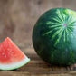 Heirloom Organic Sugar Baby Watermelon Seeds