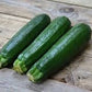 Organic Heirloom Dark Green Zucchini Seeds