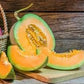 Heirloom Organic Sierra Gold Cantaloupe Seeds