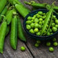 Heirloom Organic Lincoln Homesteader Pea Seeds