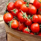Heirloom Organic Sweetie Tomato Seeds
