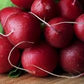 Organic Heirloom Crimson Giant Radish Seeds