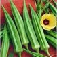 Organic Heirloom Emerald Okra Seeds