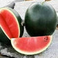 Heirloom Organic Black Diamond Watermelon Seeds (aka Cannonball Watermelon, Florida Giant Watermelon)