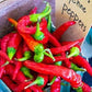 Heirloom Organic Cayenne Hot Pepper Seeds