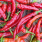 Heirloom Organic Cayenne Hot Pepper Seeds