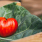 VERY RARE Organic Heirloom Rose De Summer Tomato Seeds