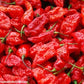 GHOST PEPPER Pepper Seeds (Aka Naga Viper Chili, Snake Pepper, Bhut Jolokia Hot Pepper)