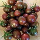 Heirloom Organic Chocolate Cherry Tomato Seeds Solanum lycopersicum