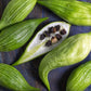 Rare Organic Heirloom Caigua Seeds (Aka Slipper Gourd, Achocha,  Cyclanthera pedata, stuffing cucumber)
