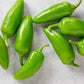 Organic Heirloom Jalapeno Seeds ("Jalapeño Temprano" pimienta Chile semillas de orgánico semillas")