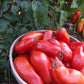 Heirloom Organic San Marzano Tomato Seeds