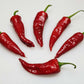 Organic Pueblo Hot Pepper Seeds