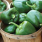 Organic Heirloom Calwonder Bell Pepper Seeds