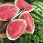 Organic Heirloom Crimson Sweet Watermelon Seeds