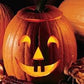 Heirloom Organic Jack O' Lantern Pumpkin Seeds
