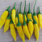 Rare Heirloom Organic Lemon Dream Sweet Pepper Seeds