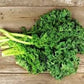 Heirloom Organic Dwarf Siberian Improved Kale Seeds