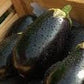 Heirloom Organic Black Moon Eggplant Seeds