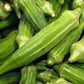 Heirloom Organic Dwarf stalk Green Long Pod Okra Seeds