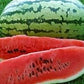 Heirloom Organic Klondike Blue Ribbon Striped Watermelon Seeds