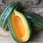 RARE Heirloom Organic Bidwell Casaba Melon Seeds
