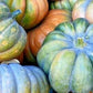RARE Heirloom Organic Cinderella Pumpkin Seeds (Musquee De Provence Pumpkin, Fairytale pumpkin)