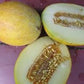 Rare Heirloom Organic Sharlyn Melon Seeds (Aka Pineapple Melon, Ananas Melon, Ananas D'Amerique a Chair Verte)