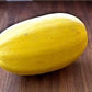 Organic Heirloom Spaghetti Squash Seeds