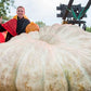 VERY RARE Heirloom Organic Giant Show Winner Pumpkin Seeds