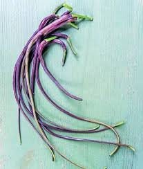 Heirloom Organic Dragon's Tail Radish Seeds