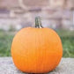 Heirloom Organic Cherokee Tan Bush Pumpkin Seeds