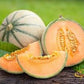 Heirloom Organic Hale's Best Jumbo Cantaloupe Seeds