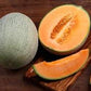 Heirloom Organic Hale's Best Jumbo Cantaloupe Seeds