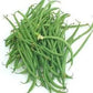 Heirloom Organic French Filet Bean Seeds