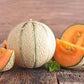 Heirloom Organic Edisto Cantaloupe Seeds