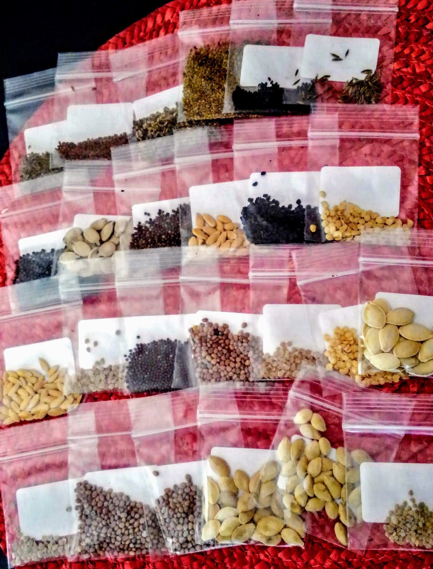 Organic Survival Seed bank 105 Variety Ultimate Heirloom Seed Vault for Survival and Preparedness