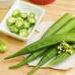 Organic Heirloom Emerald Okra Seeds