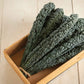 Heirloom Organic Black Magic Lacinato Kale Seeds