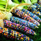 Heirloom Organic Indian Corn Seeds (Aka Glass Gem Corn)