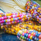 Heirloom Organic Indian Corn Seeds (Aka Glass Gem Corn)