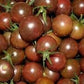 Heirloom Organic Chocolate Cherry Tomato Seeds Solanum lycopersicum