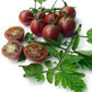 Heirloom Organic Chocolate Cherry Tomato Seeds Solanum lycopersicum