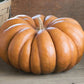 RARE Heirloom Organic Cinderella Pumpkin Seeds (Musquee De Provence Pumpkin, Fairytale pumpkin)