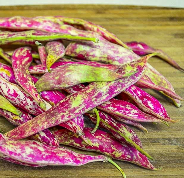 Organic Heirloom Red Cargamanto Bean Seeds